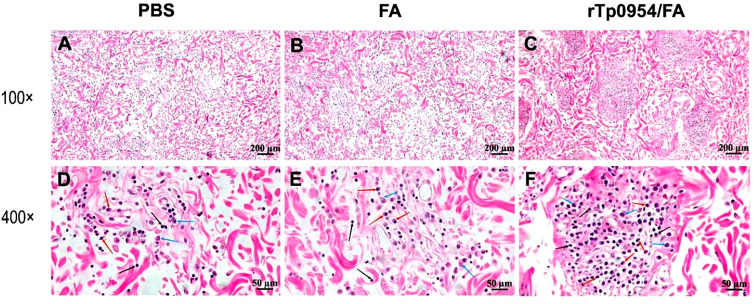 Figure 7