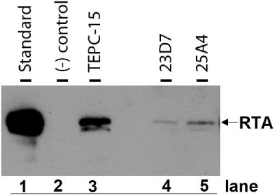 FIG. 8.