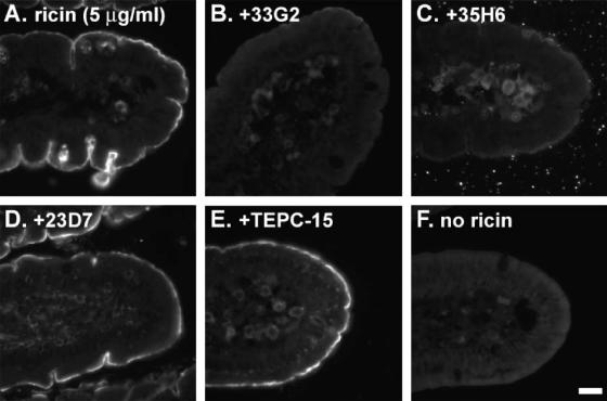 FIG. 7.