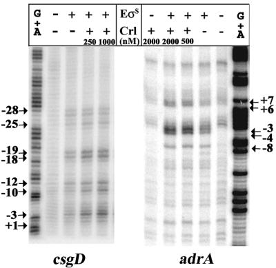 FIG. 10.