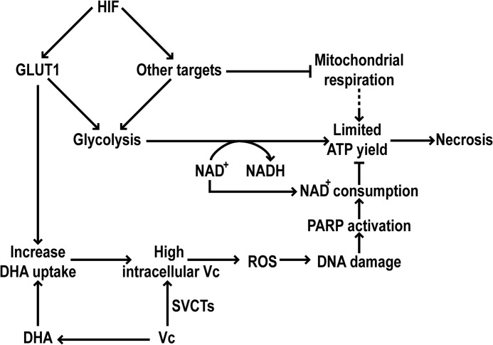 FIGURE 7.