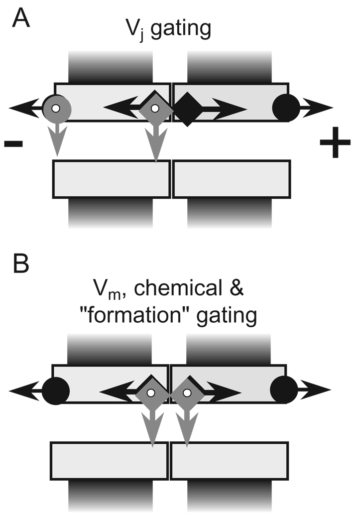 Fig. 13