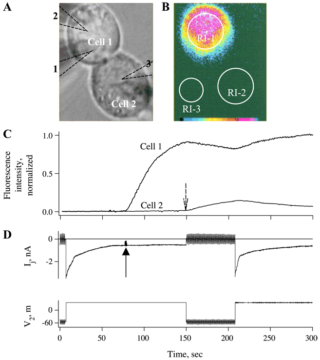 Fig. 7