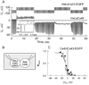 Fig. 10