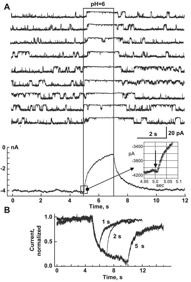 Fig. 12