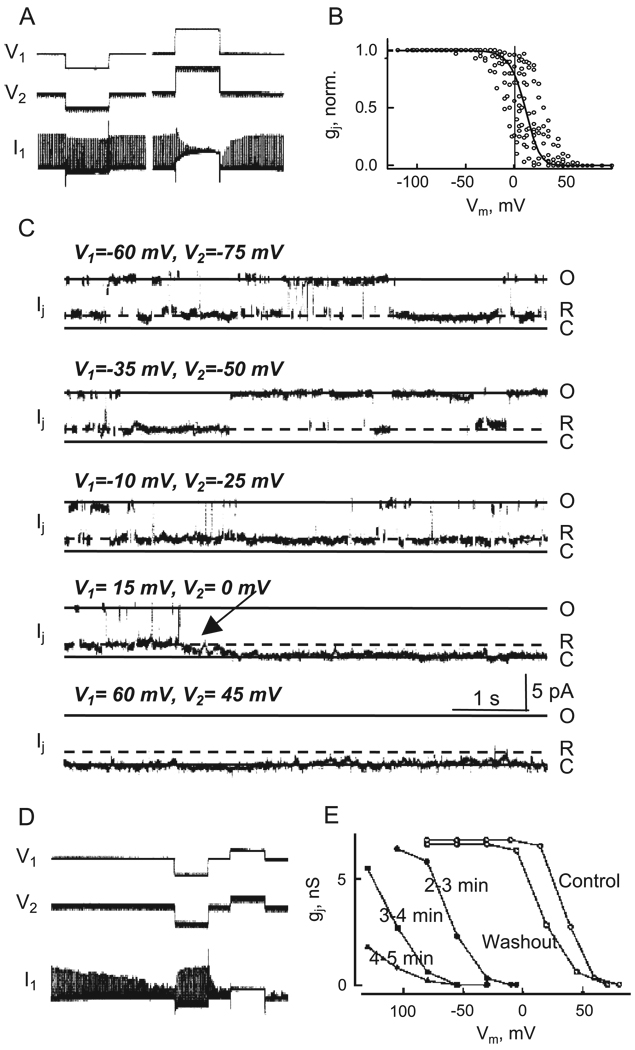 Fig. 11