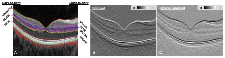 Fig. 2