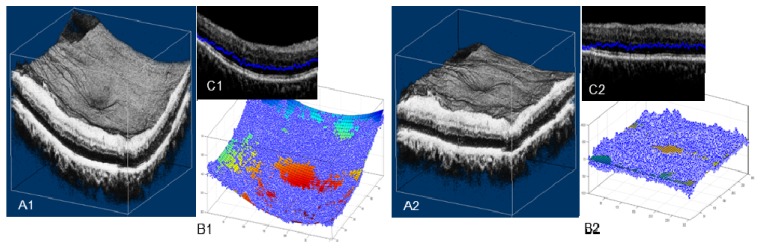 Fig. 7