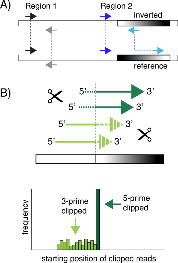 Fig 1