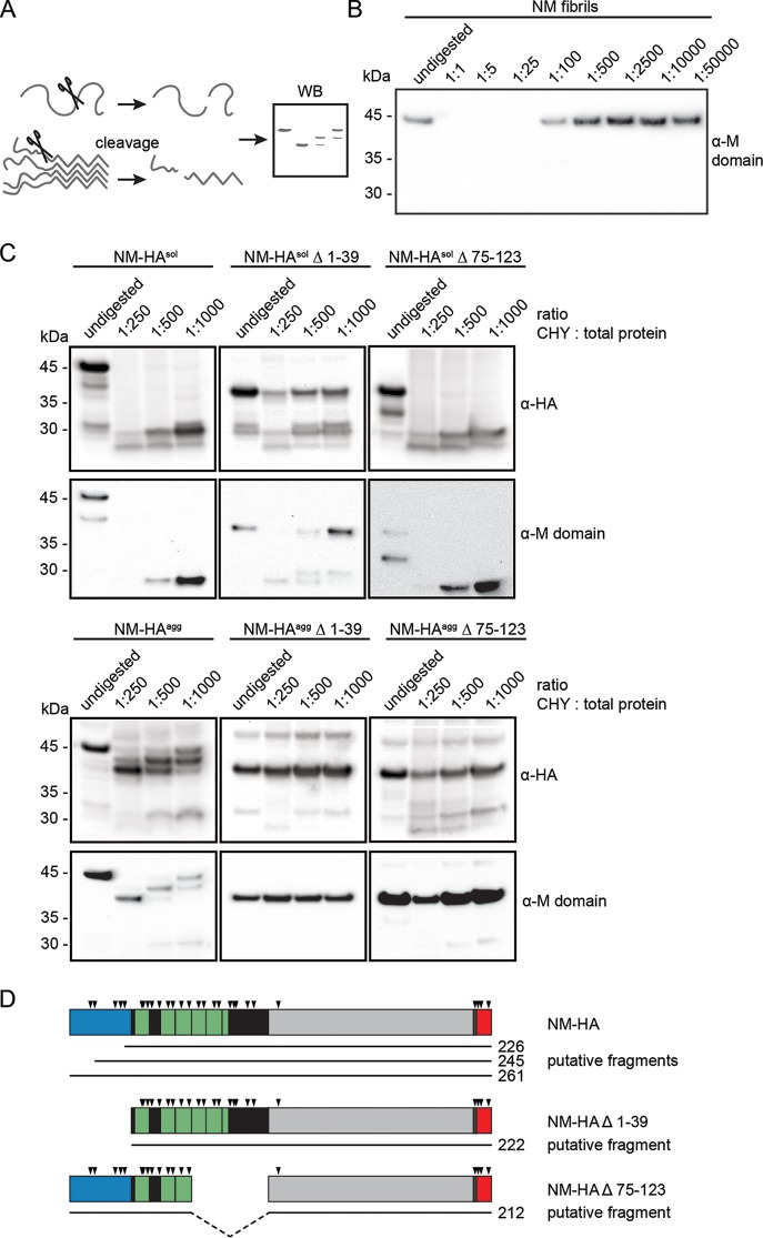 FIG 8