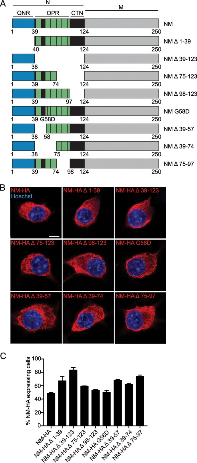 FIG 2