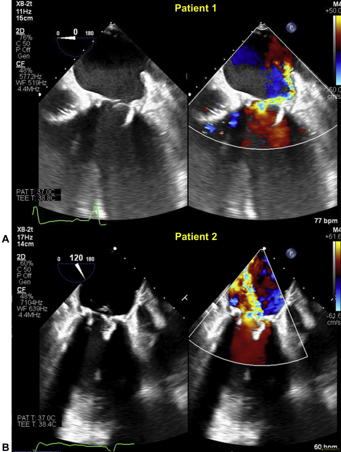 Figure 1