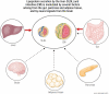 Graphical Abstract