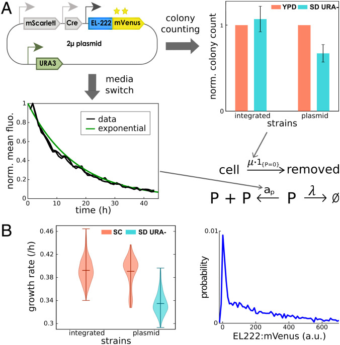 Fig. 4.