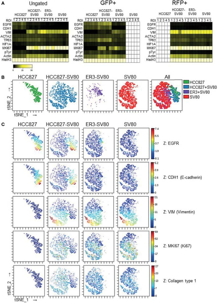 Figure 7