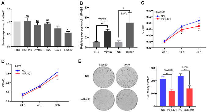 Figure 2.