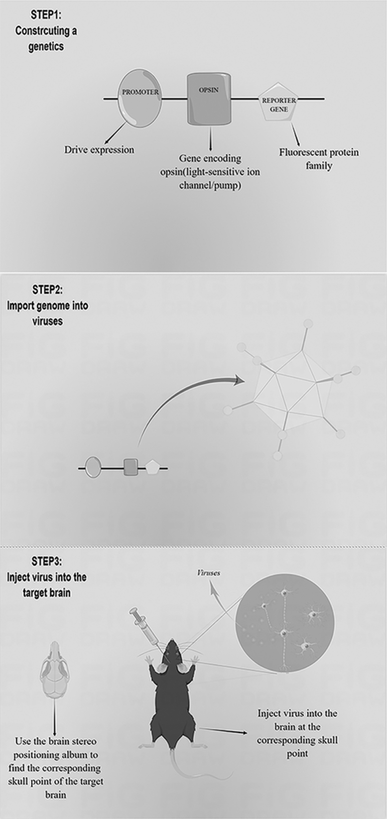 FIG. 1.