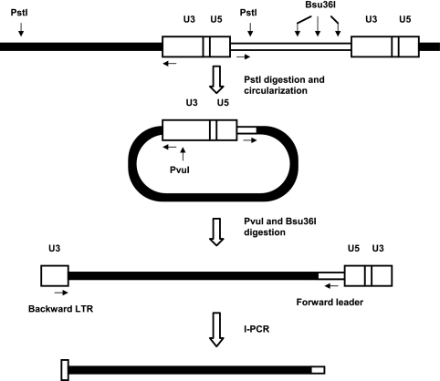 FIG. 2.