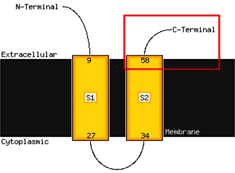 Fig. 3.