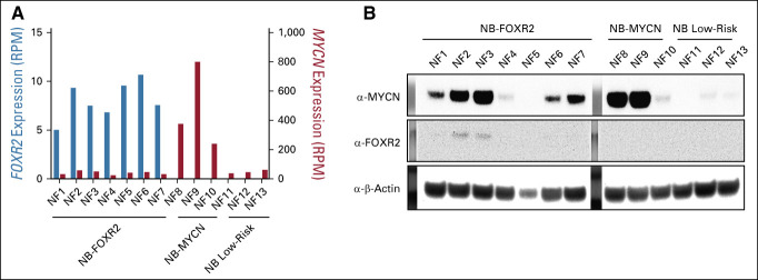 FIG 6.