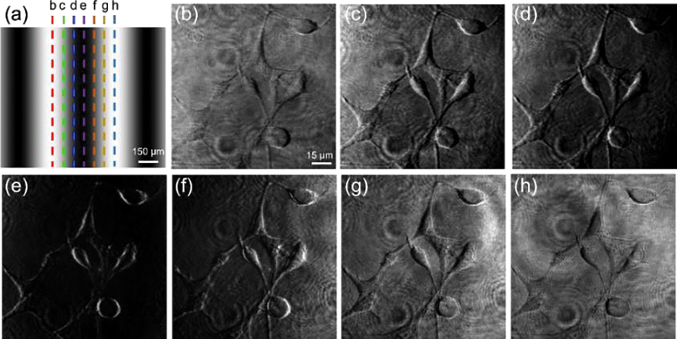 FIG. 2.