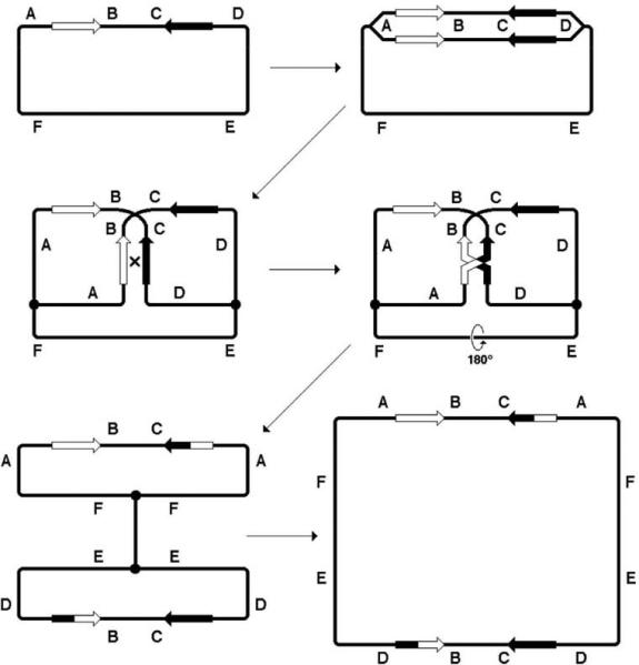 Fig. 12