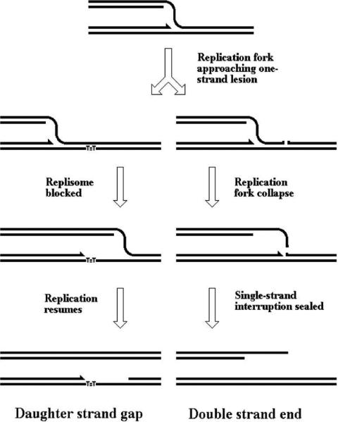 Fig. 16