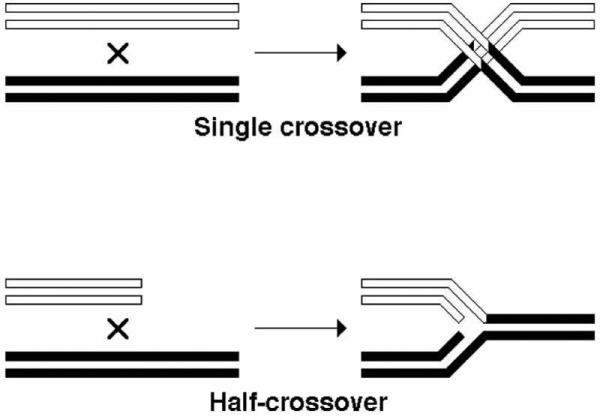 Fig. 10