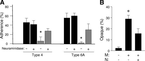 FIG. 6.