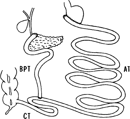 Fig. 5