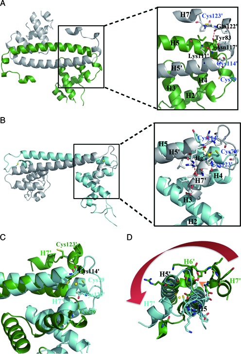 Figure 3.