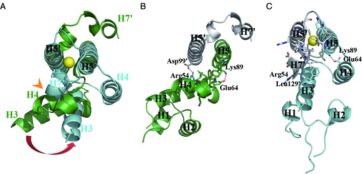 Figure 4.