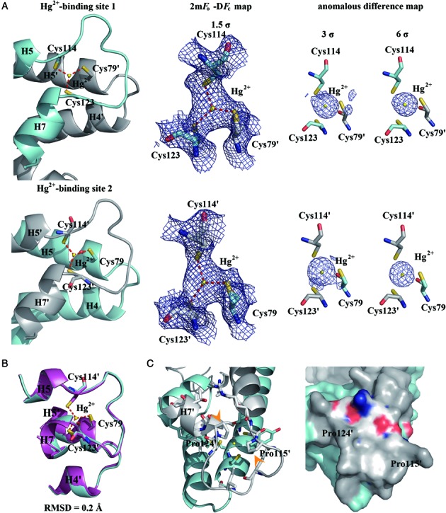 Figure 5.