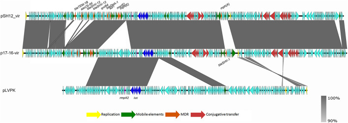 FIGURE 1