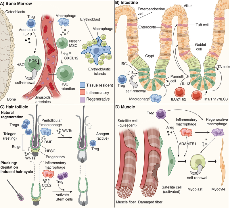 Figure 3: