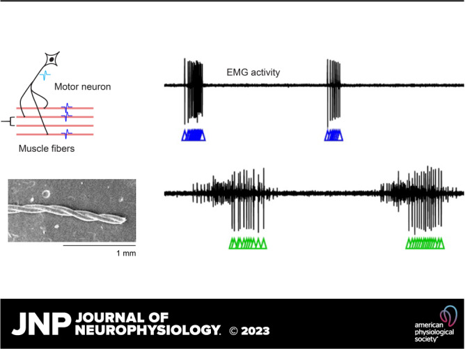 graphic file with name jn-00262-2022r01.jpg