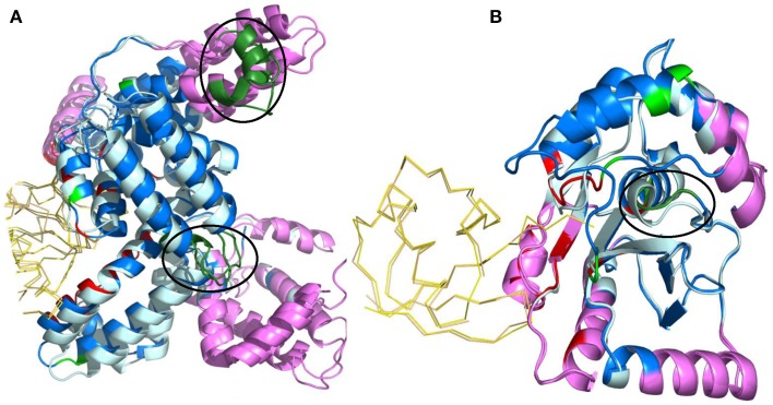 Figure 7