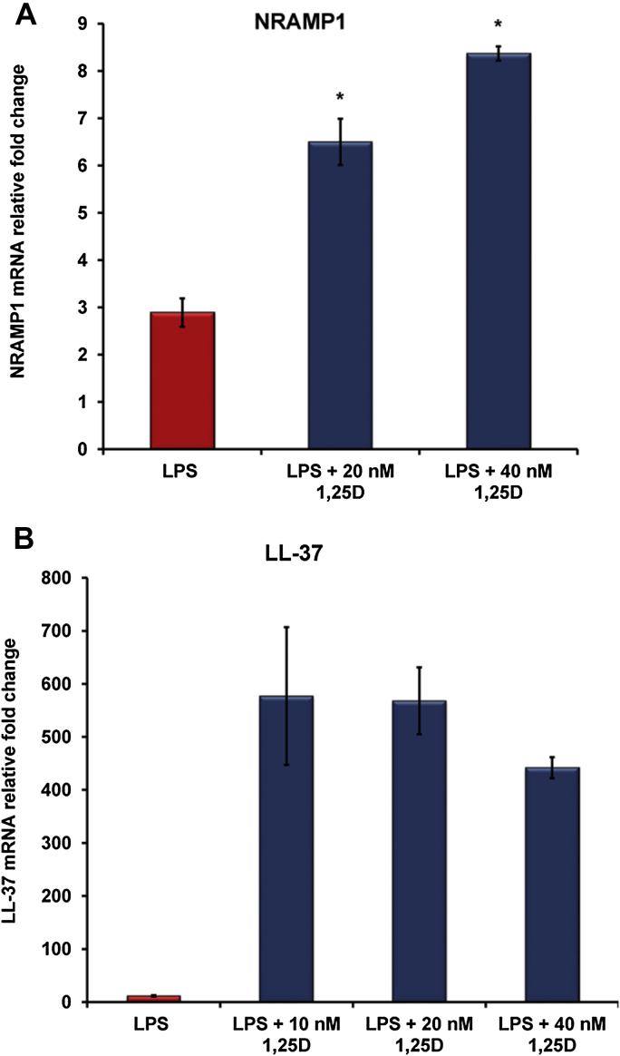 Figure 2