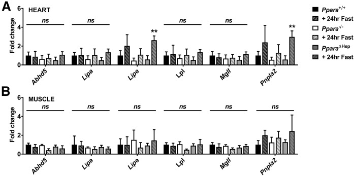 Fig. 9.