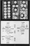 484-9
