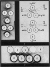 484-7