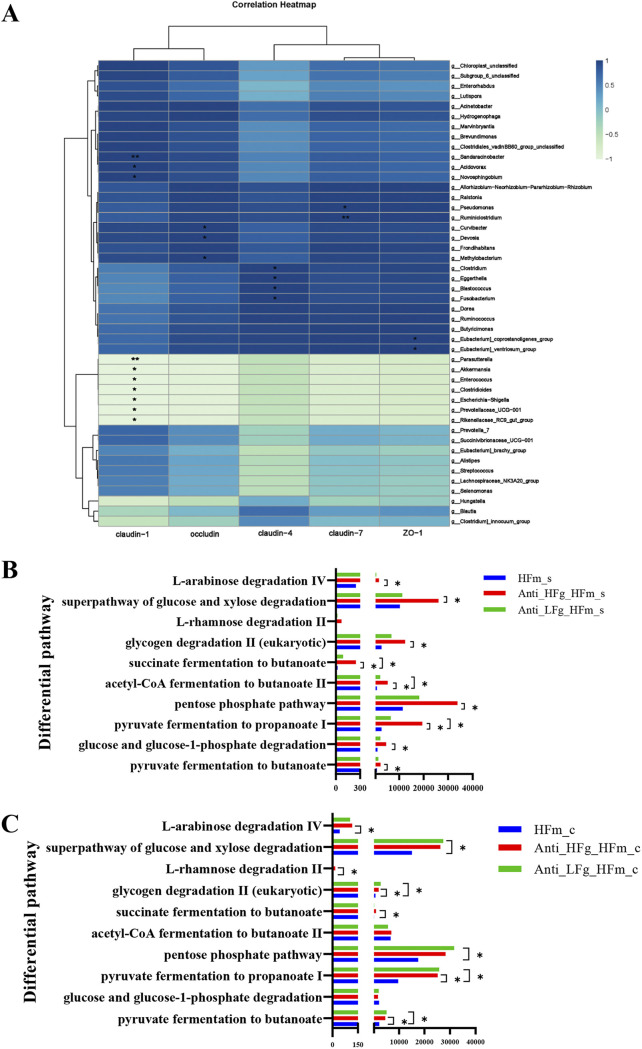 FIG 6