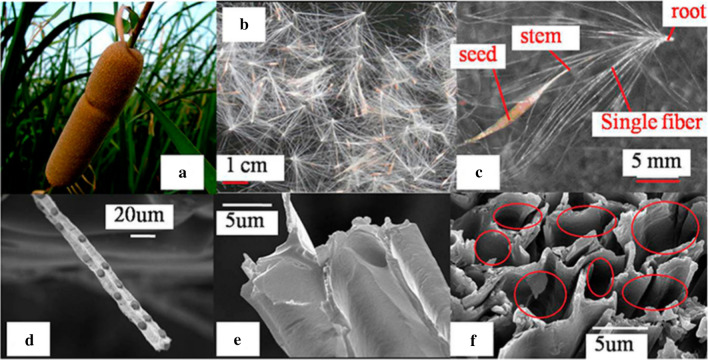 Fig. 10