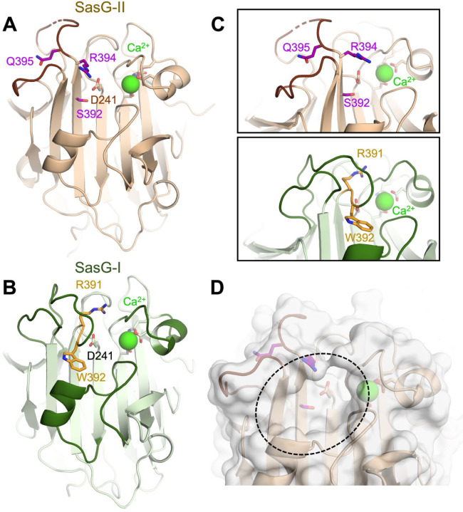 Figure 2.