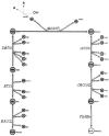 FIG. 2.