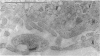 230