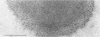 224