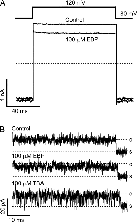 Figure 12.