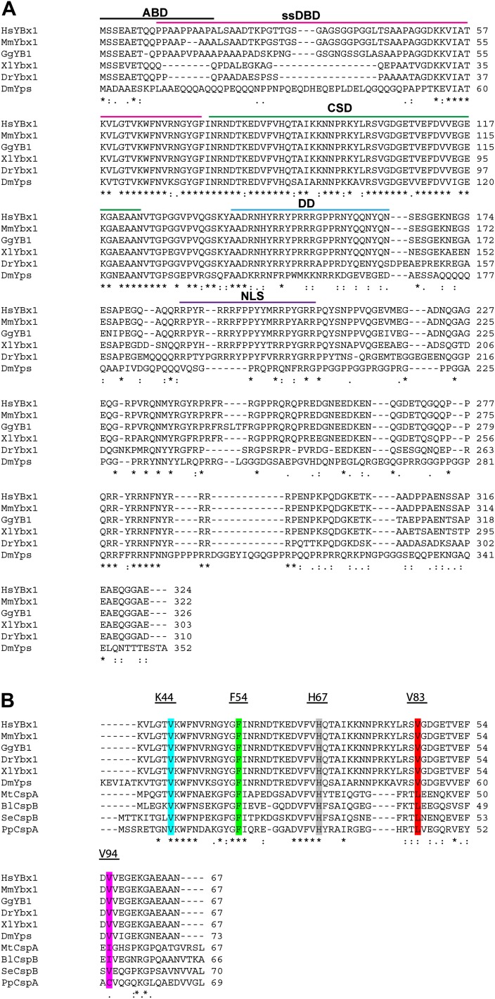 Figure 2—figure supplement 1.