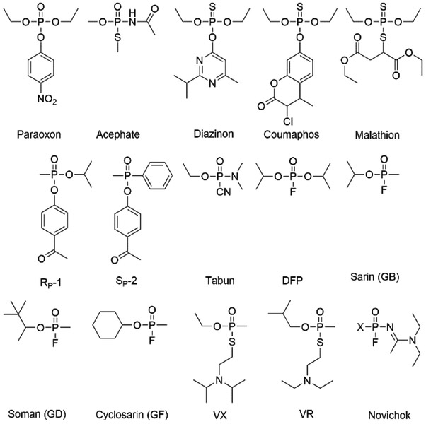 Scheme 1.